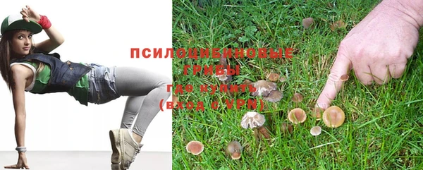 мдпв Иннополис
